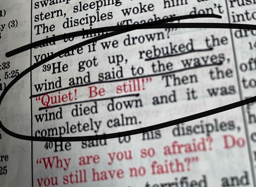 120195236_10158327848597247_5556870753680304952_o